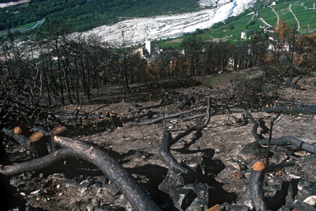Ein Fünftel des zerstörten Waldes war Schutzwald für die Stadt Leuk und für die Strasse nach Leukerbad.
