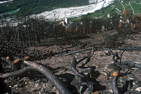 Der Klimawandel begünstigt auch Waldbrände